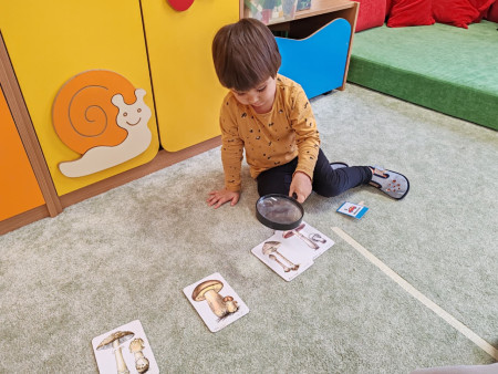 Poznáváme krásy lesa